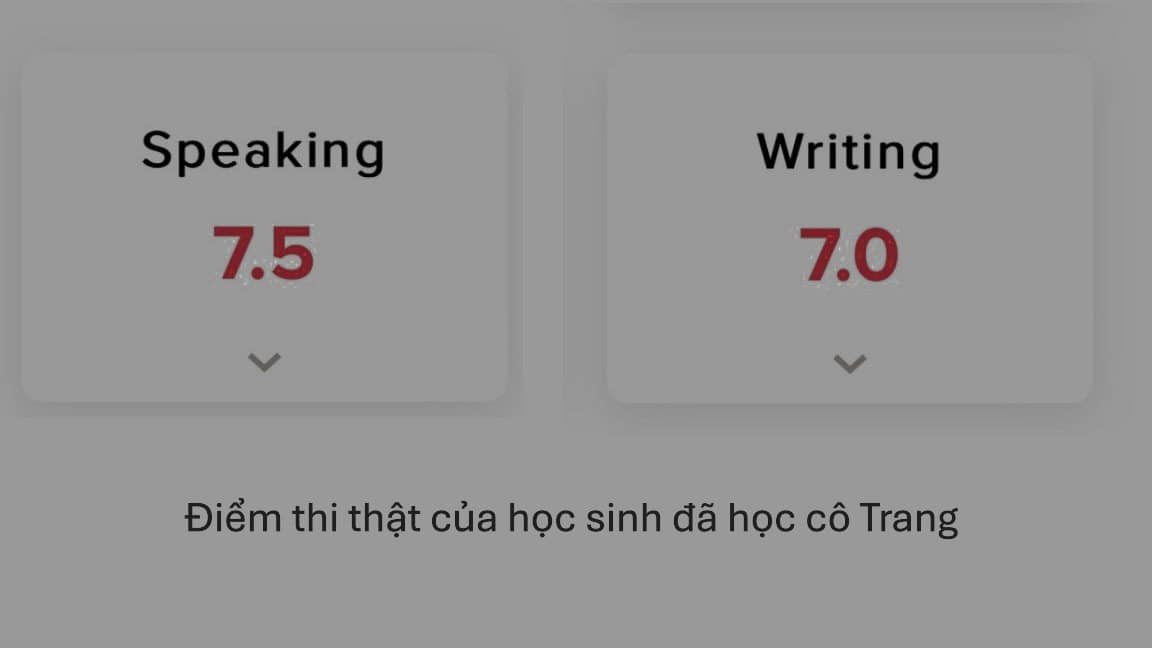 Study after shopping